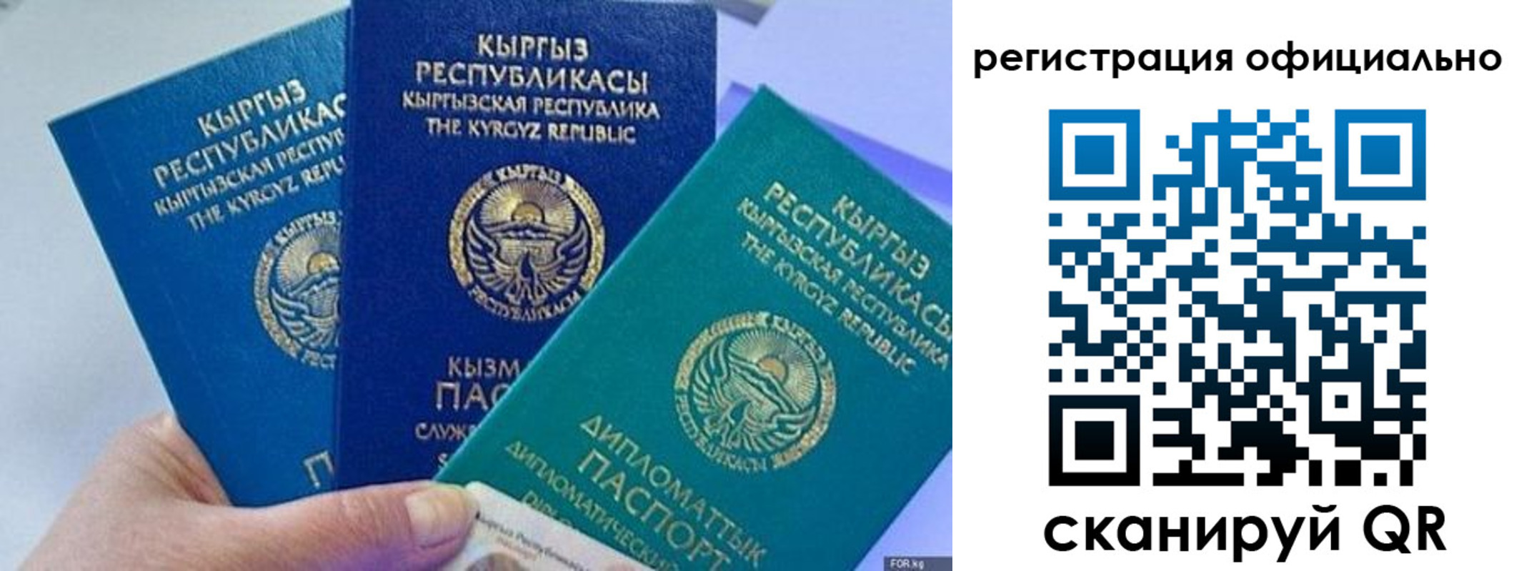 прописка в Новой Ляле